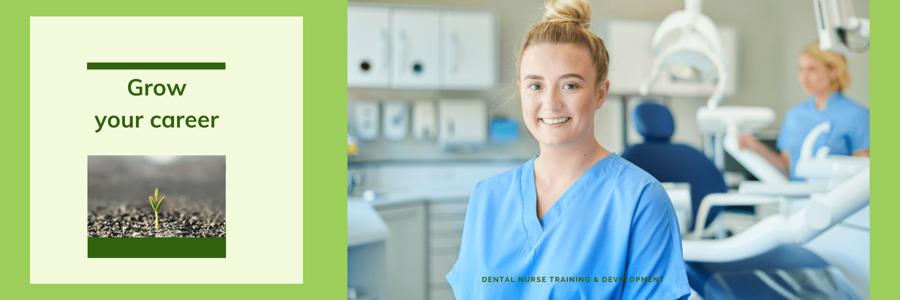 smilewisdom banners (4) nebdn dental nurse diploma