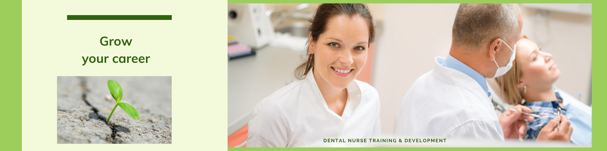 dental nurse nebdn course dental nurse training nebdn